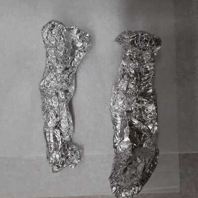 Camel Bone Fragments in Foil
