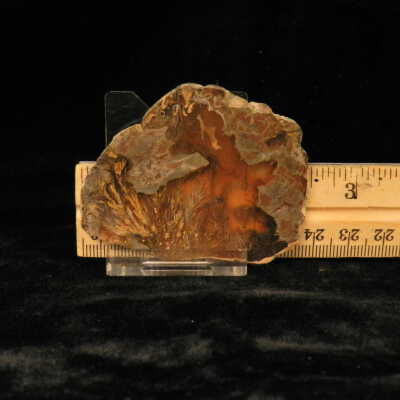 Quartz var. Agate (sagenite)