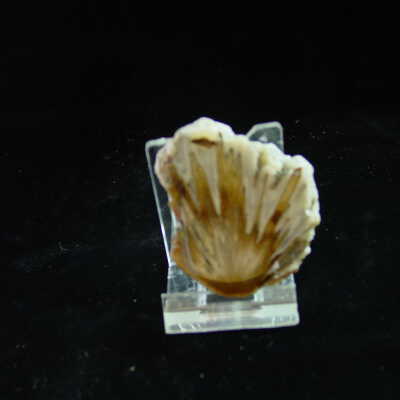 Sagenite in Agate