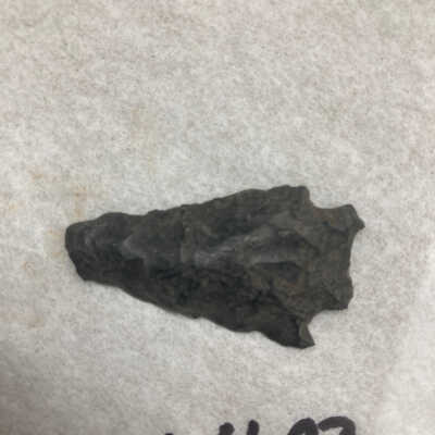 Projectile Point