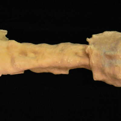 Stalactite