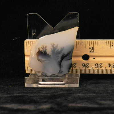 Dendritic Agate
