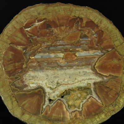 Thunderegg