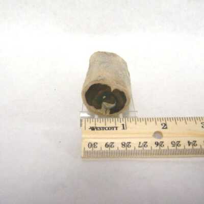Limb Cast