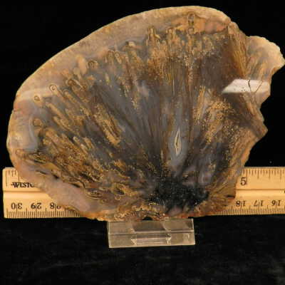 Quartz var. Agate (sagenite)