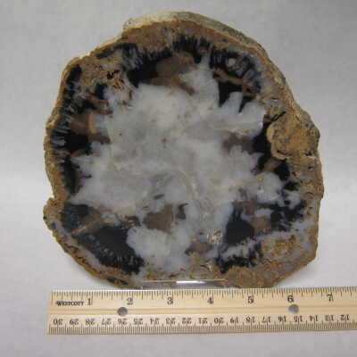 Palm