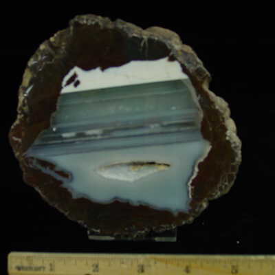 Thunderegg