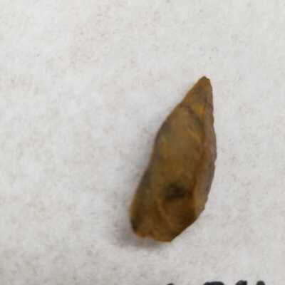 Projectile Point Fragment