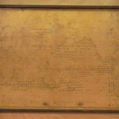 Scrimshaw