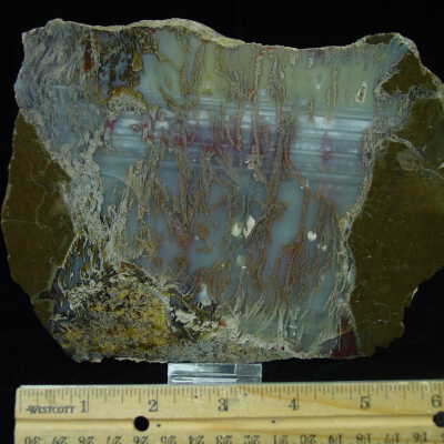 Thunderegg