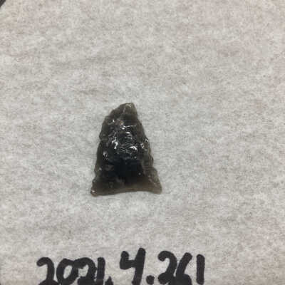 Projectile Point