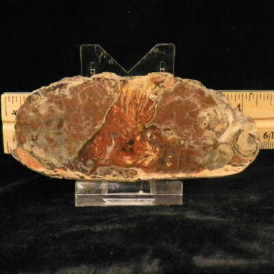 Plume Agate