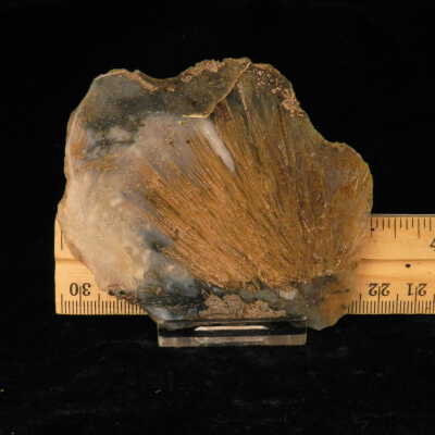 Quartz var. Agate (sagenite)