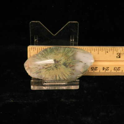 Quartz var. Agate (sagenite)
