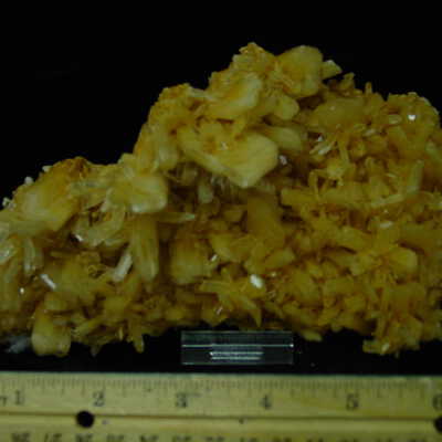 Gypsum  Var. Selenite