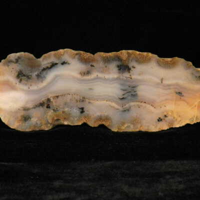 Dendritic Agate