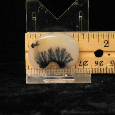 Dendritic Agate