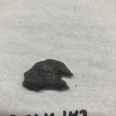 Projectile Point Fragment Proximal