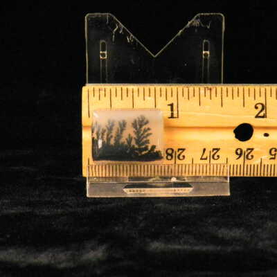 Dendritic Agate