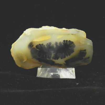 Quartz var. Agate