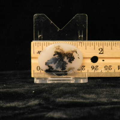Dendritic Agate