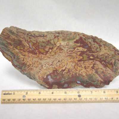 Limb Cast