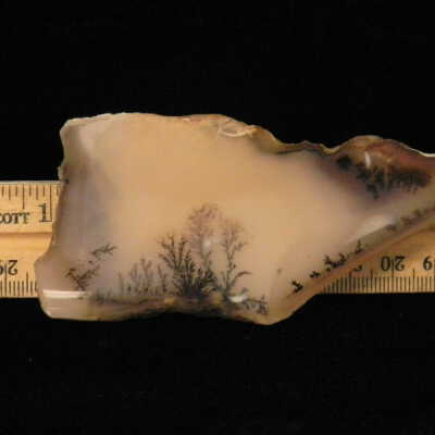 Dendritic Agate