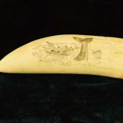 Scrimshaw