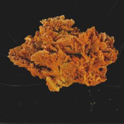 Barite