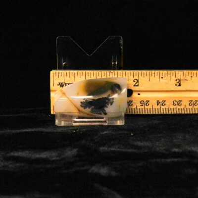 Dendritic Agate