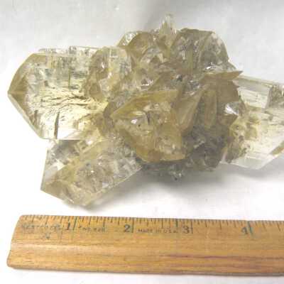 Golden "Duck Bill" Selenite