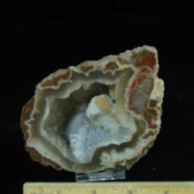 Thunderegg