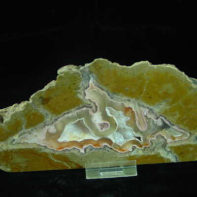 Thunderegg