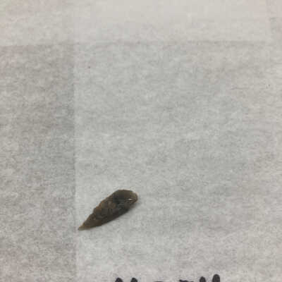 Projectile Point Fragment Profile