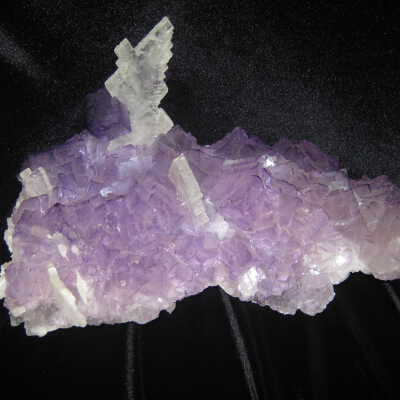 Celestite in Fluorite