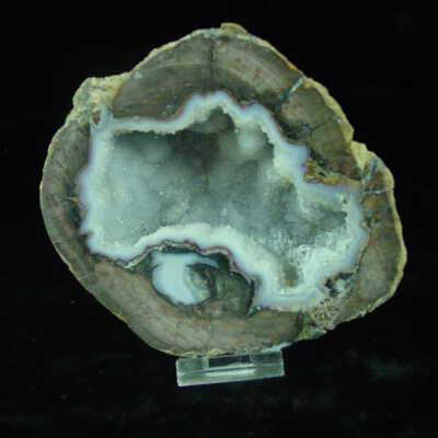 Thunderegg: Photo from original record. Not sure if this thunder egg has the same # of the slab or if it’s an entirely different object with an entirely different #.
