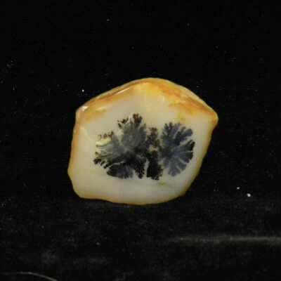 Quartz var. Agate
