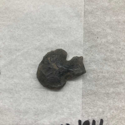 Projectile Point Fragment Proximal