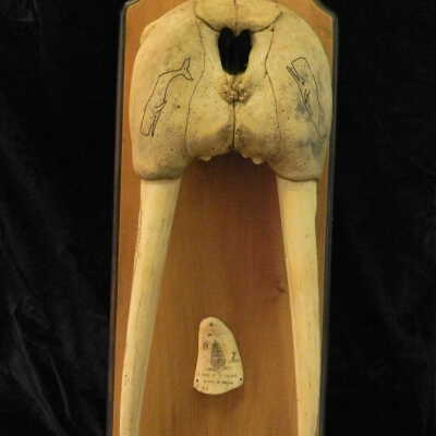 Scrimshaw