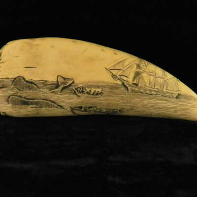 Scrimshaw