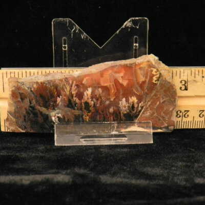 Plume Agate