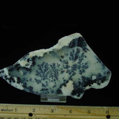 Dendritic Agate