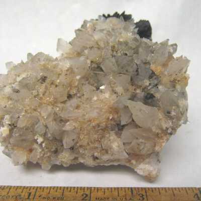 Creedite