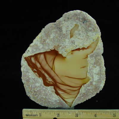 Thunderegg