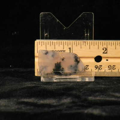 Dendritic Agate