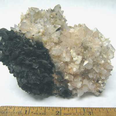 Creedite