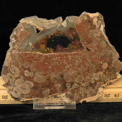 Plume Agate