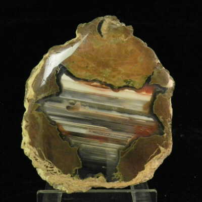 Thunderegg