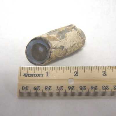 Limb Cast