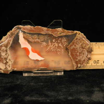 Plume Agate